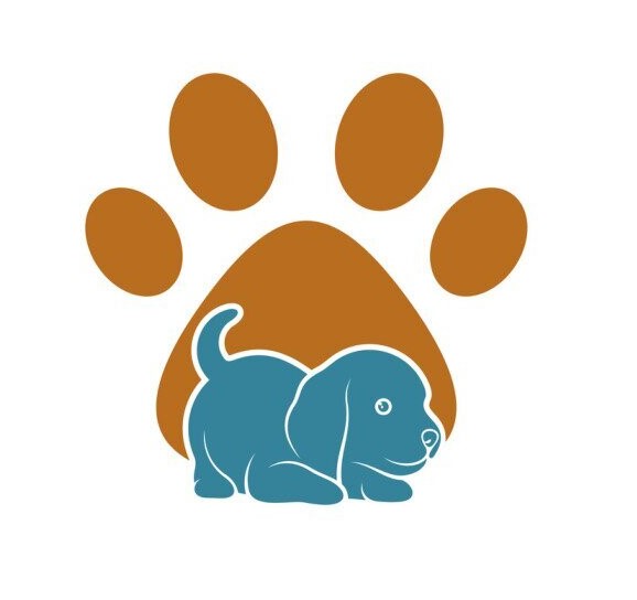 Samoyed Puppies For Sale